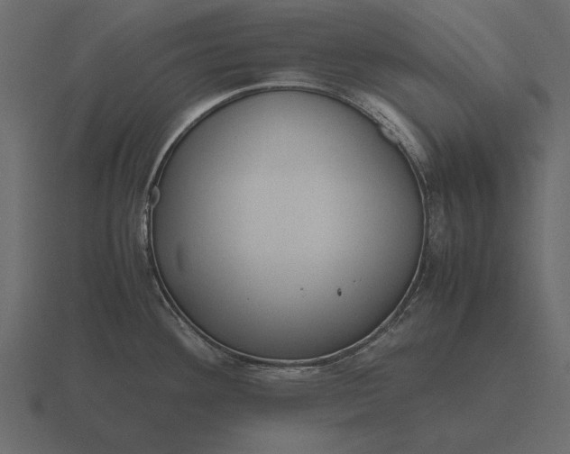 X0000116621292200912241745