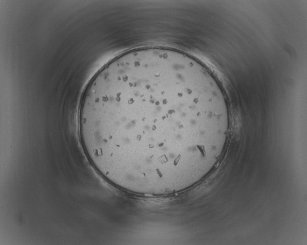 X0000116621294200912241745