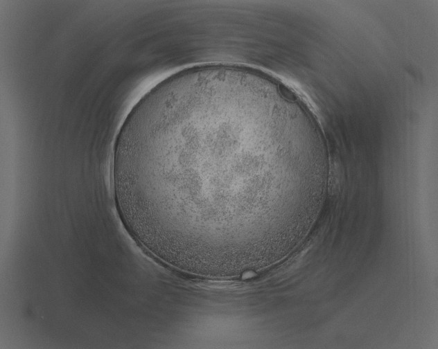 X0000116621295200912241745