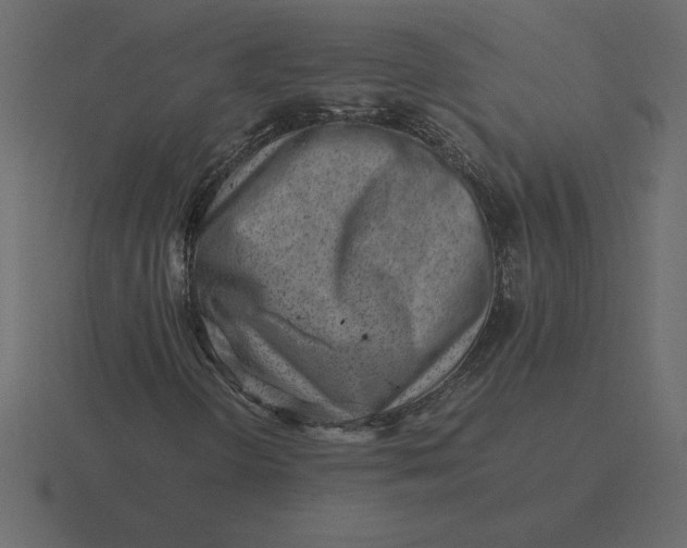 X0000116621298200912241745