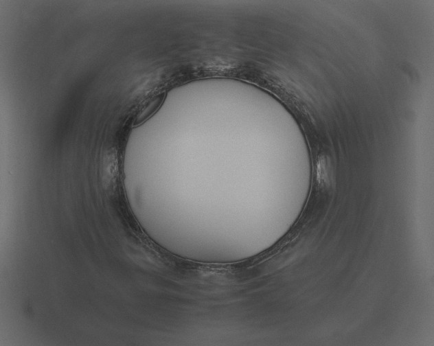 X0000116621299200912241745