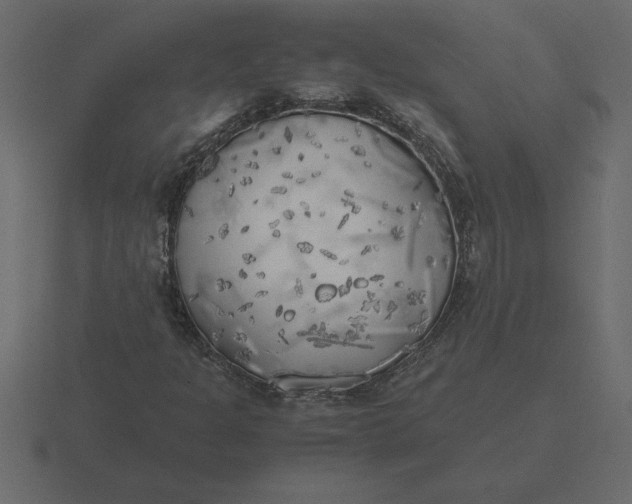 X0000116621301200912241745