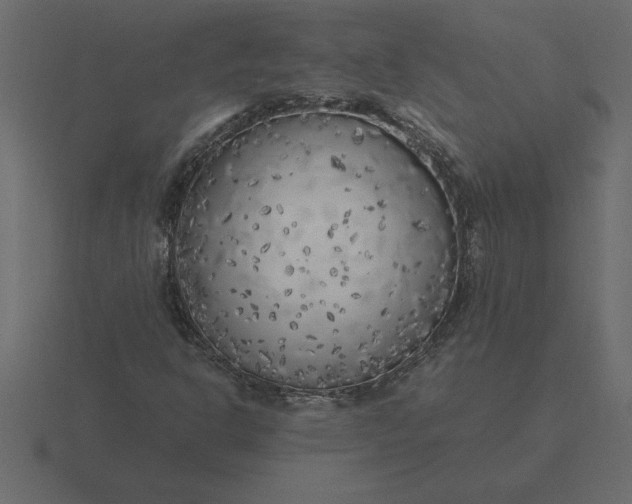 X0000116621302200912241745