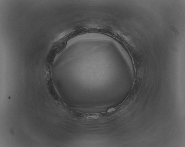 X0000116621303200912241745