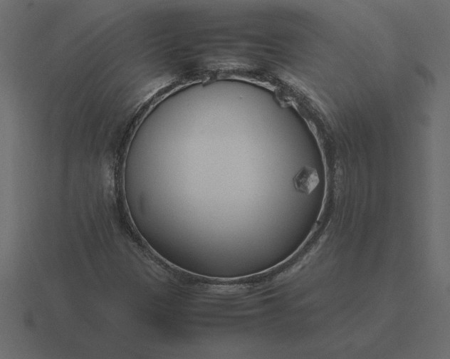 X0000116621305200912241745