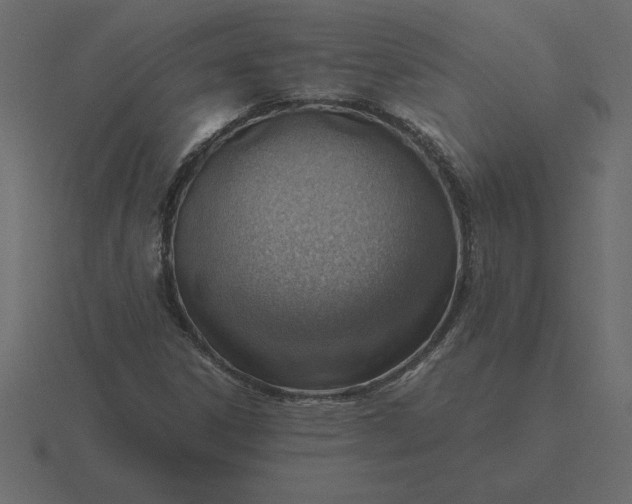 X0000116621306200912241745