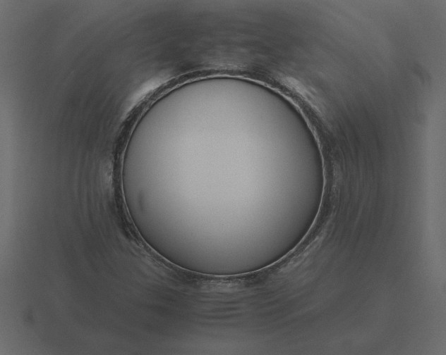 X0000116621307200912241745