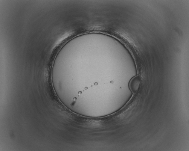 X0000116621309200912241745