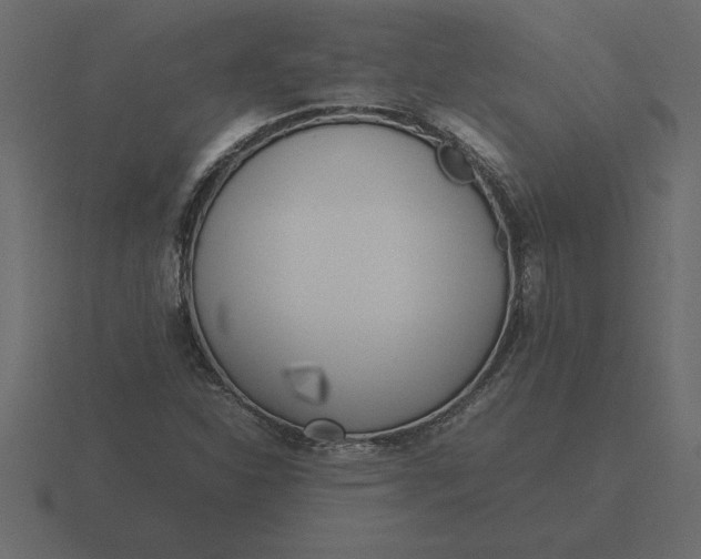 X0000116621310200912241745