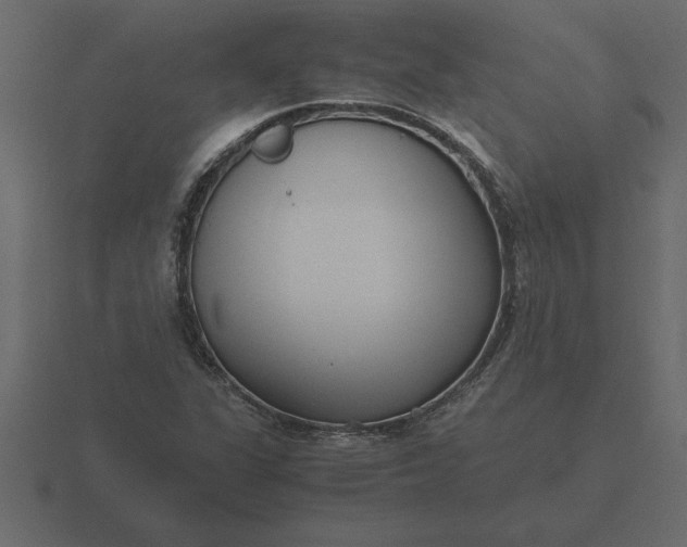 X0000116621311200912241745