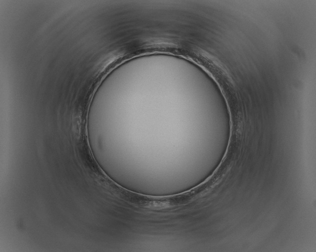 X0000116621313200912241745