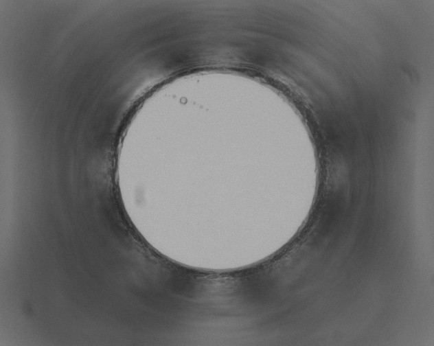 X0000116621314200912241745