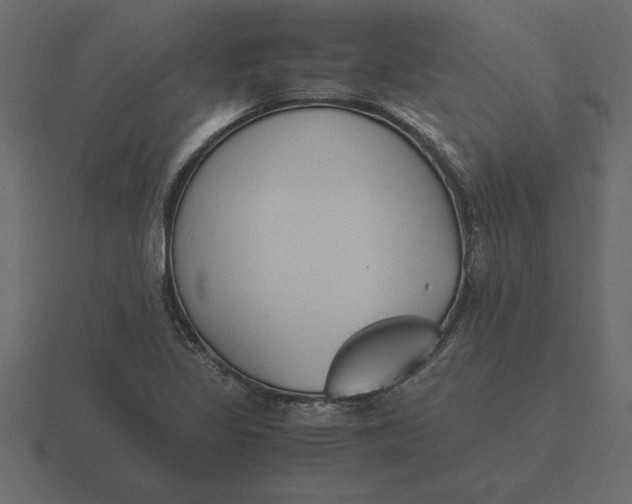 X0000116621317200912241745