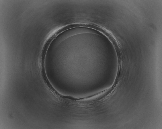 X0000116621319200912241745