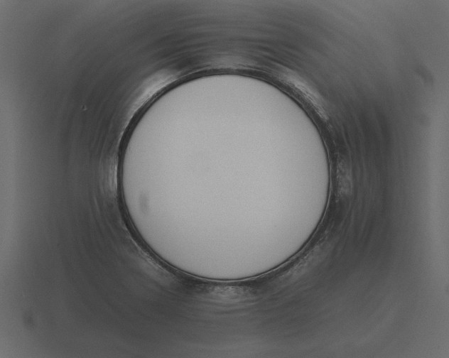 X0000116621322200912241745