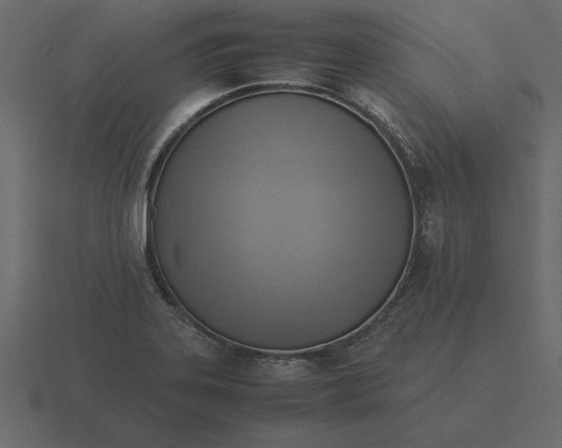 X0000116621323200912241745