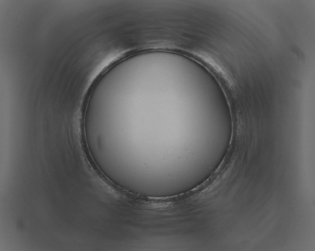 X0000116621325200912241745