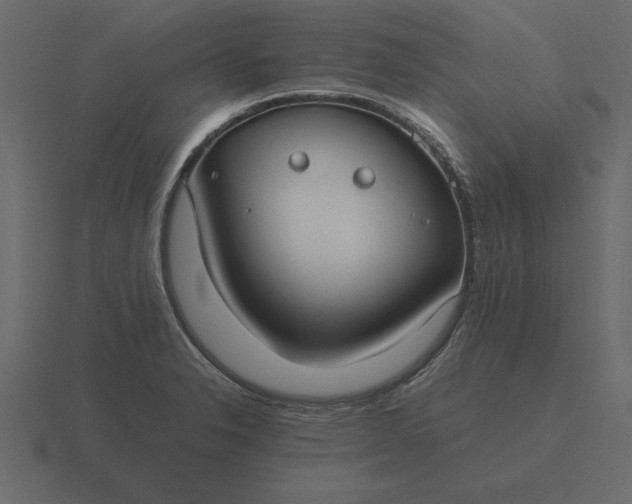 X0000116621326200912241745