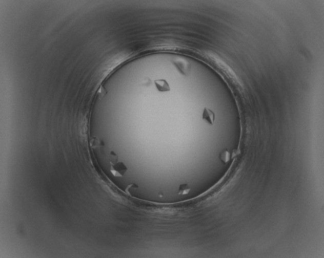 X0000116621329200912241745