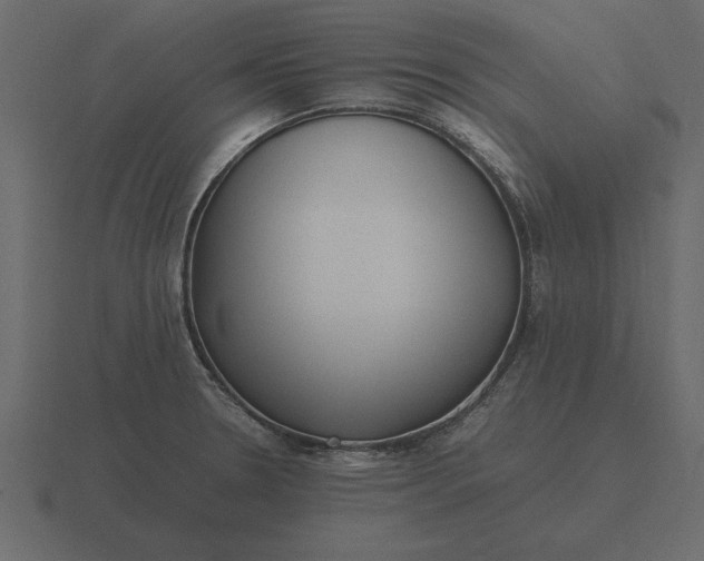 X0000116621330200912241745