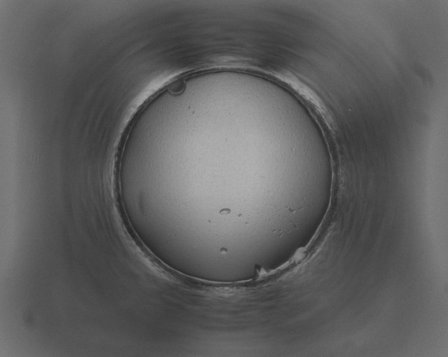 X0000116621333200912241745