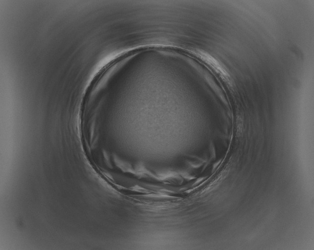 X0000116621334200912241745