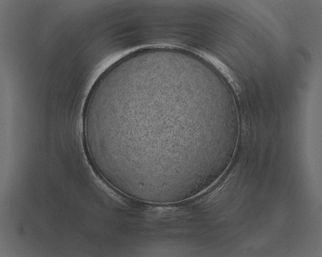 X0000116621335200912241745