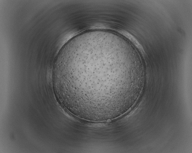 X0000116621337200912241745