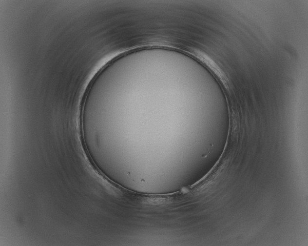 X0000116621339200912241745