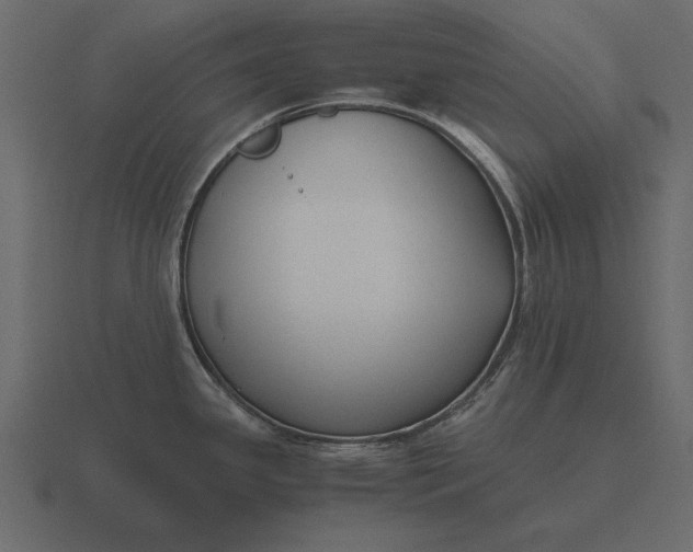 X0000116621341200912241745