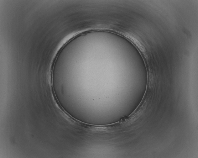 X0000116621342200912241745