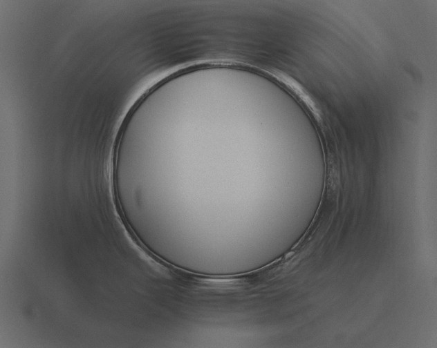 X0000116621343200912241745