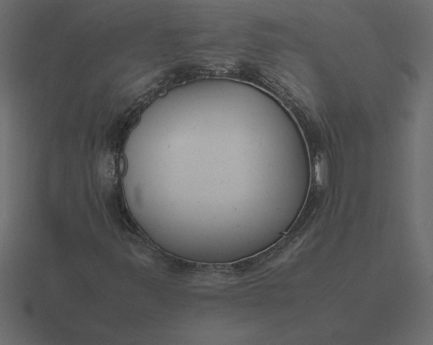 X0000116621347200912241745