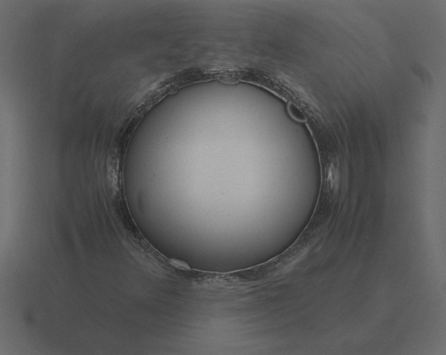 X0000116621348200912241745