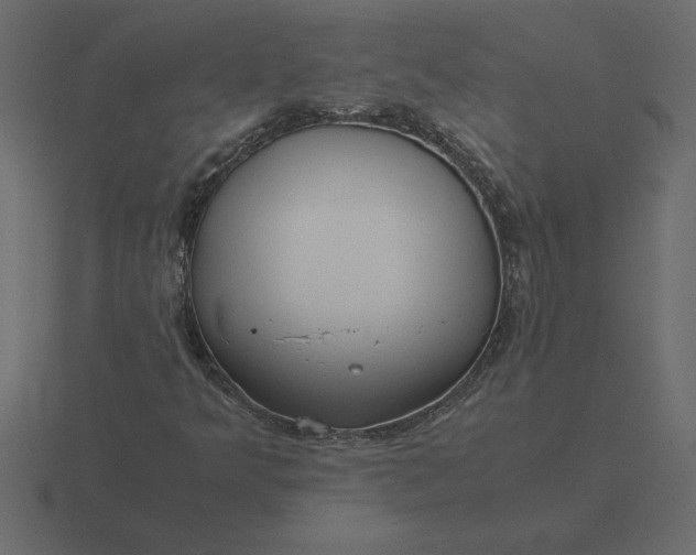 X0000116621349200912241745