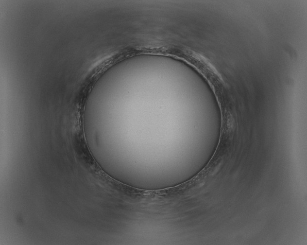 X0000116621350200912241745