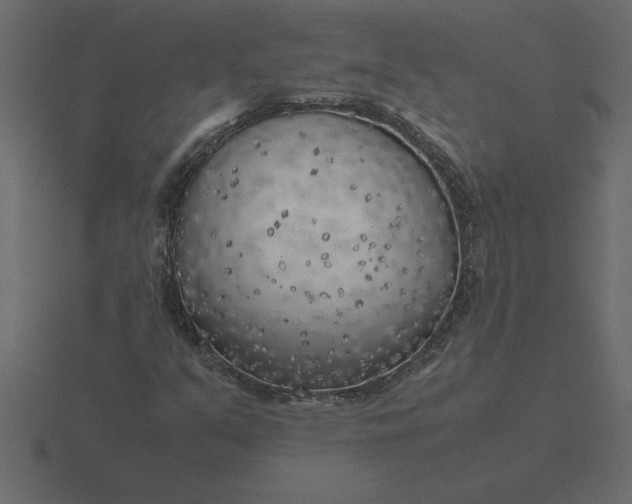 X0000116621351200912241745