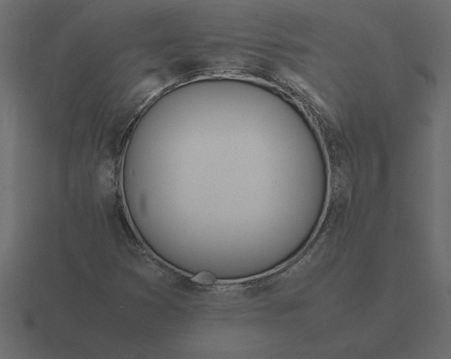 X0000116621353200912241745