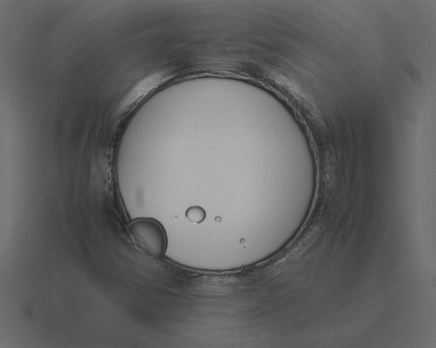 X0000116621354200912241745