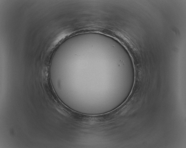 X0000116621355200912241745