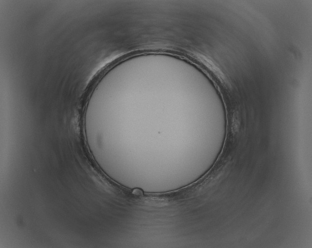 X0000116621356200912241744