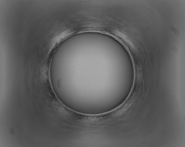 X0000116621357200912241744