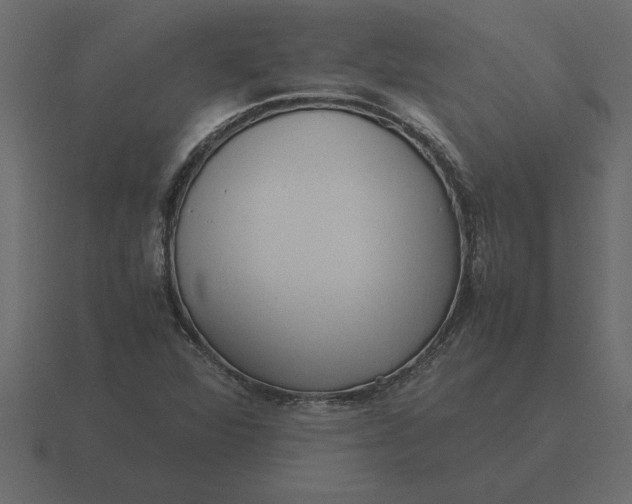 X0000116621360200912241744