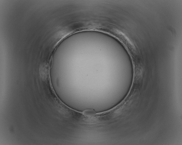 X0000116621361200912241744