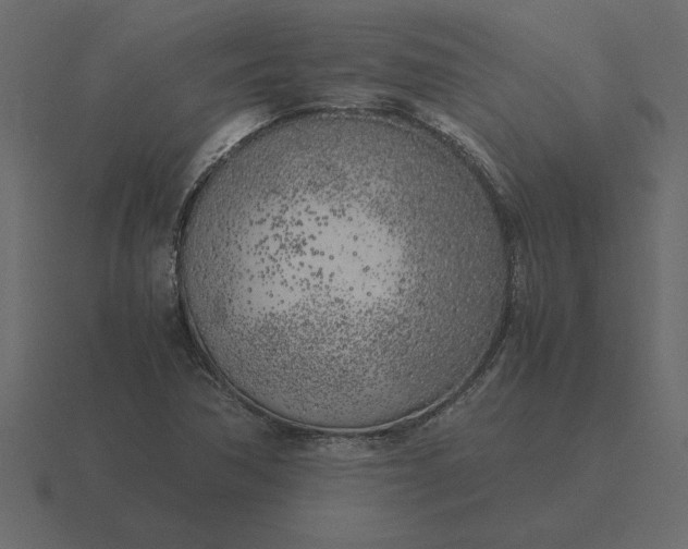 X0000116621362200912241744