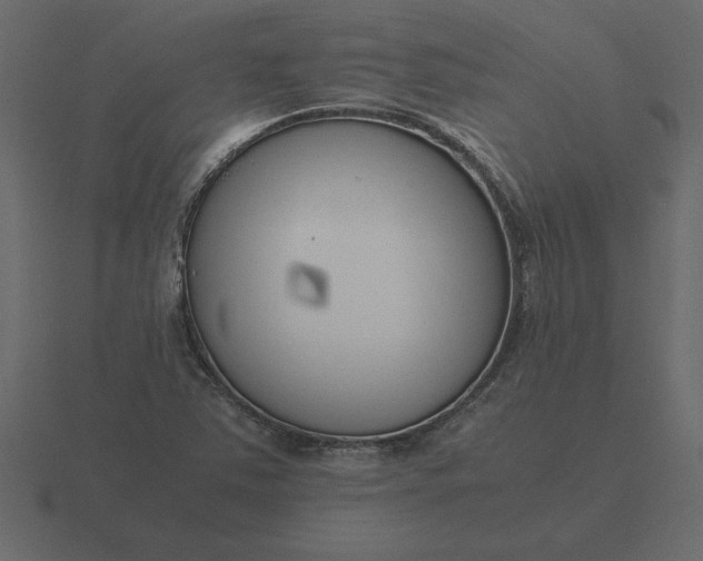 X0000116621363200912241744