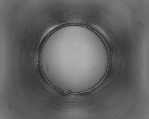 X0000116621364200912241744