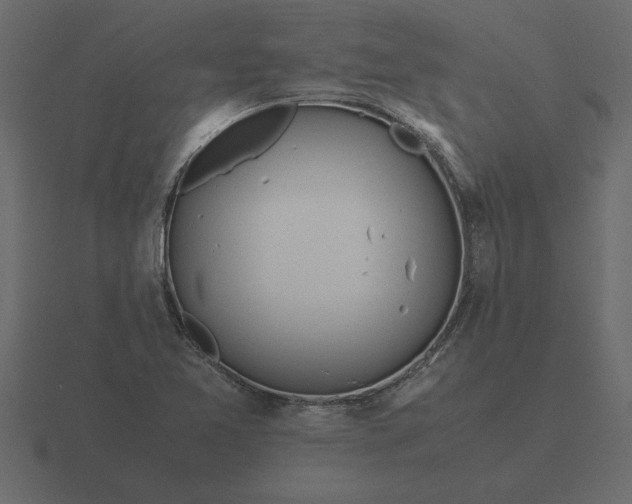 X0000116621365200912241744