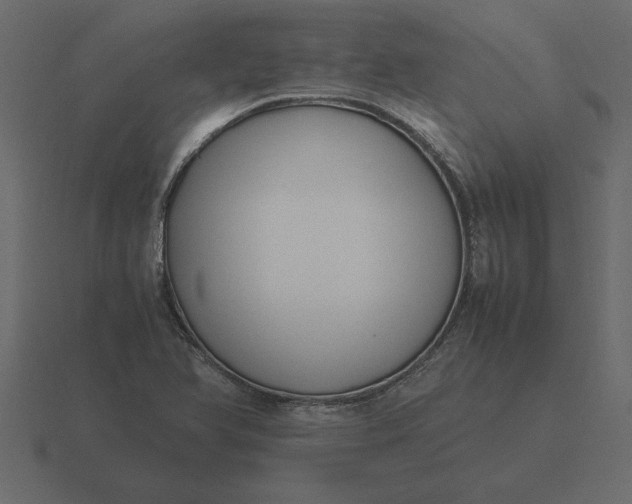 X0000116621366200912241744