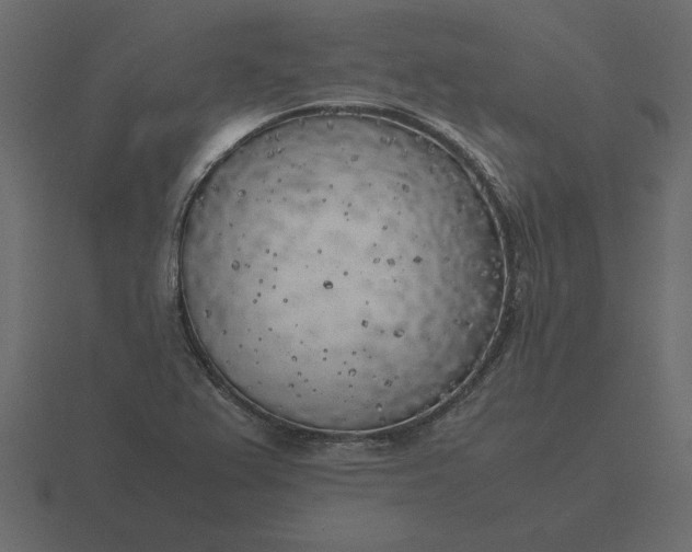 X0000116621367200912241744